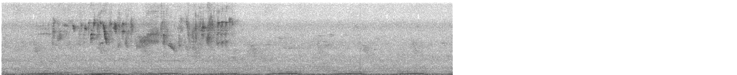 野鴿(野化) - ML330101451
