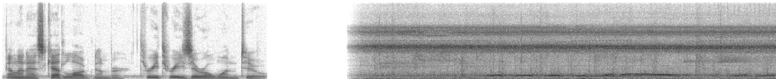 Carpophage de Pauline (paulina) - ML33012