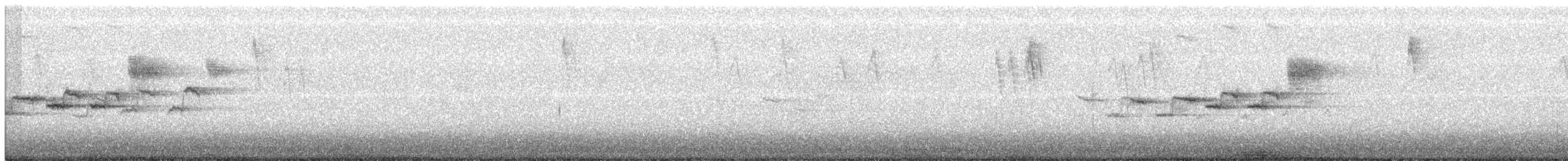 Black-throated Gray Warbler - ML330161671