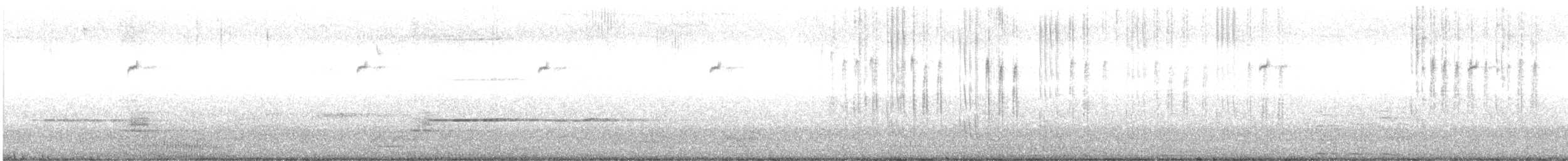 Jamaika Arı Kolibrisi - ML330219411