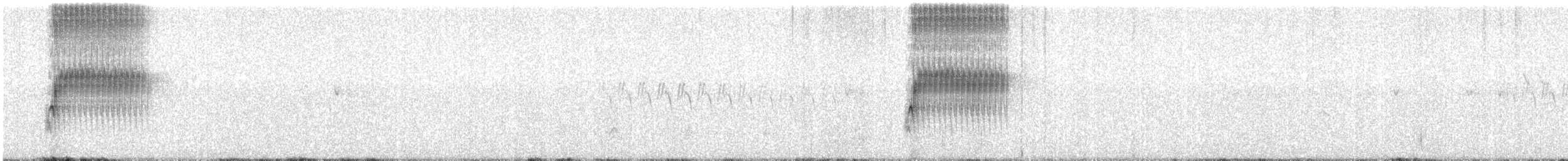 Тауї плямистий - ML330235381