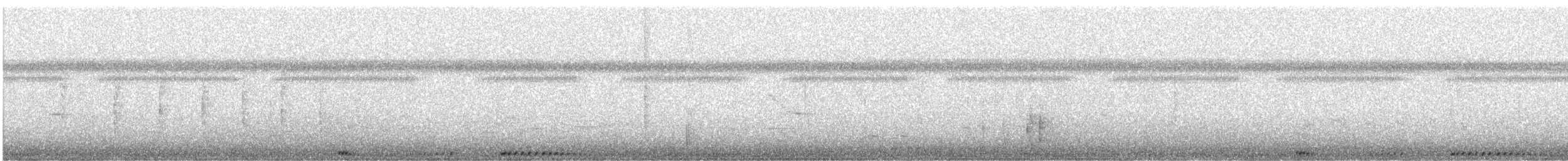 holub antilský - ML330244681