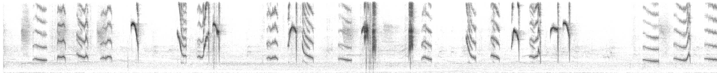 Dusky Hummingbird - ML330350961