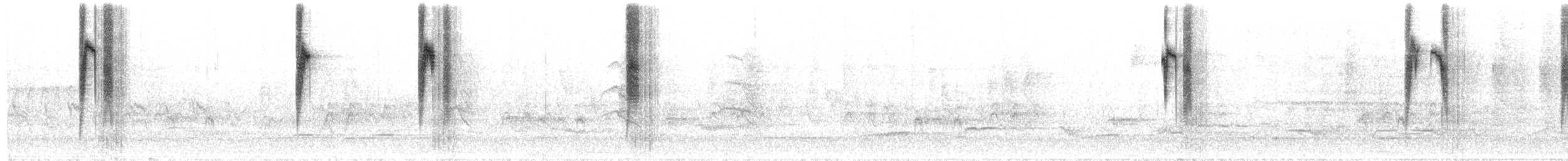 Цинантус сірогорлий - ML330351101