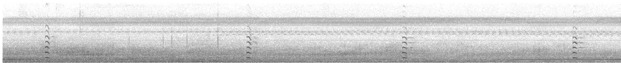 Spot-flanked Gallinule - ML330358911