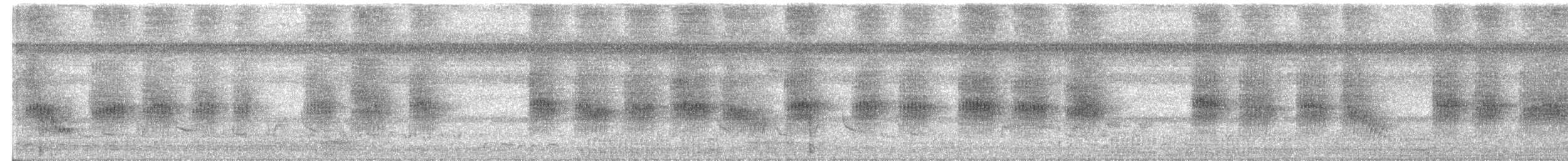 Moustached Babbler - ML330393481