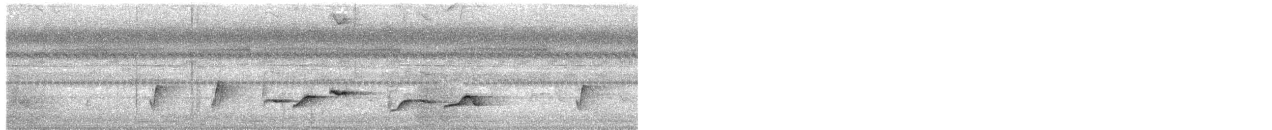 White-chested Babbler - ML330395941