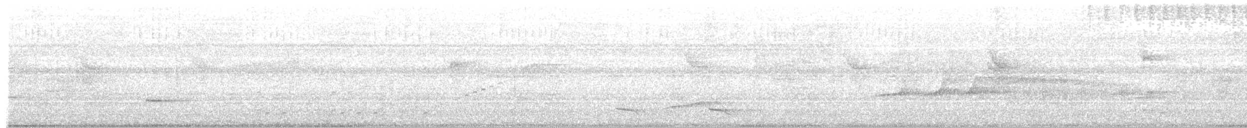 klatremaurvarsler (anabatinus gr.) - ML330431951