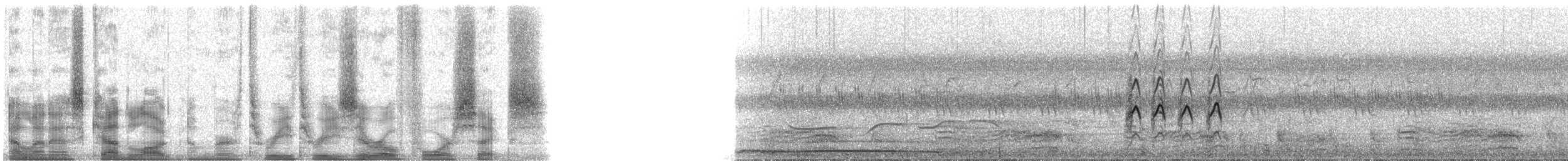 Spotted Kestrel - ML33046