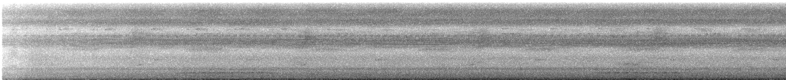 紅腳秧雞 - ML330466171