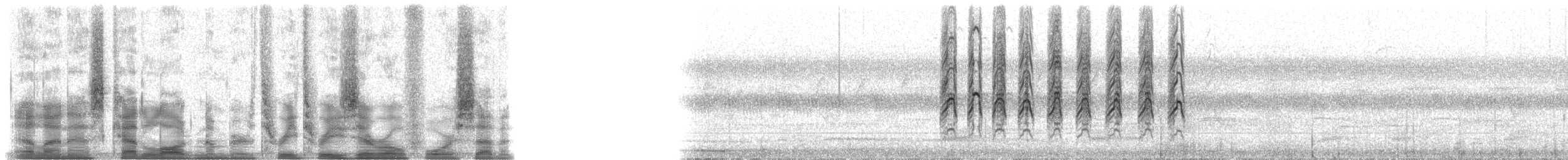 Spotted Kestrel - ML33047