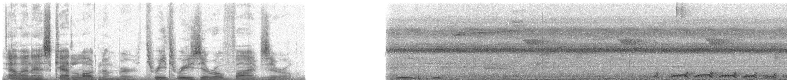 Carpophage de Pauline (paulina) - ML33050