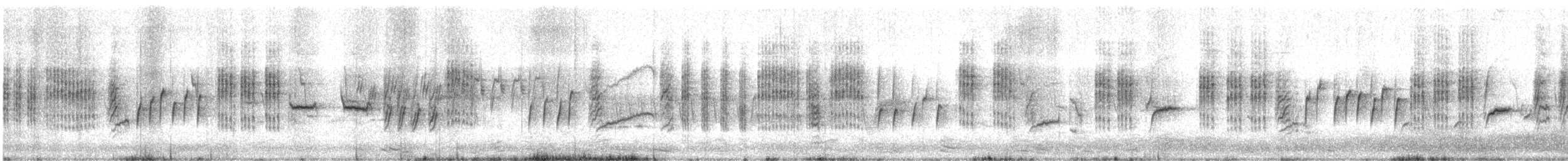 Phragmite des joncs - ML330534811