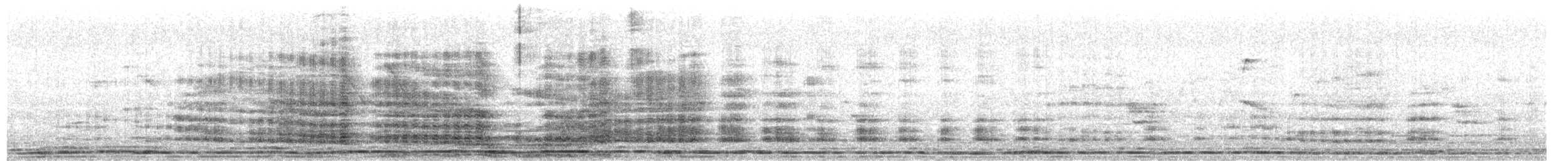 Ібіс рябокрилий - ML330557311