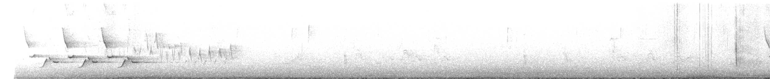 Carolina Wren - ML330574121