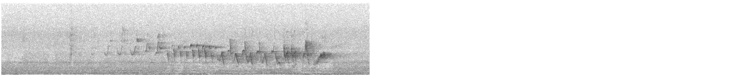 Madeira Chaffinch - ML330627381