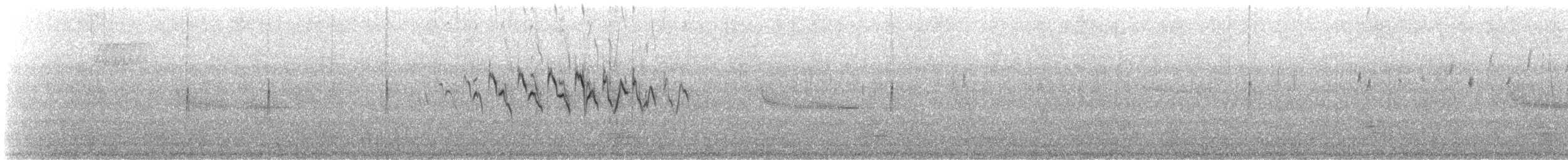 Миртовый певун (coronata) - ML330751171