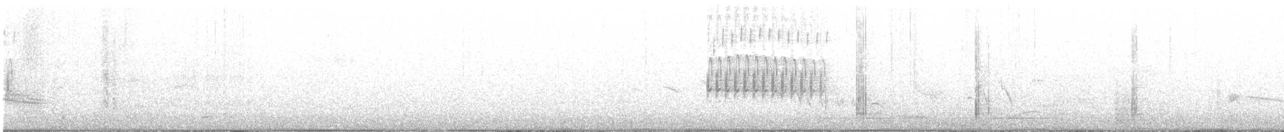 Fleckengrundammer [maculatus-Gruppe] - ML330834331