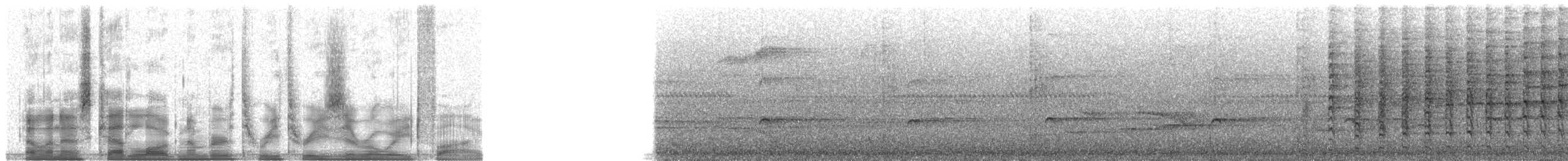 Yellow-billed Malkoha - ML33085