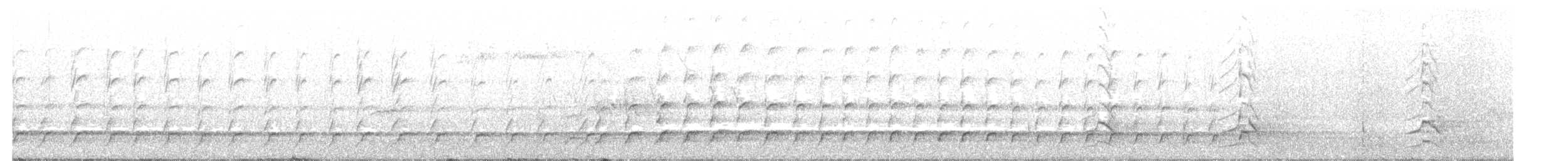 Black Woodpecker - ML330853921