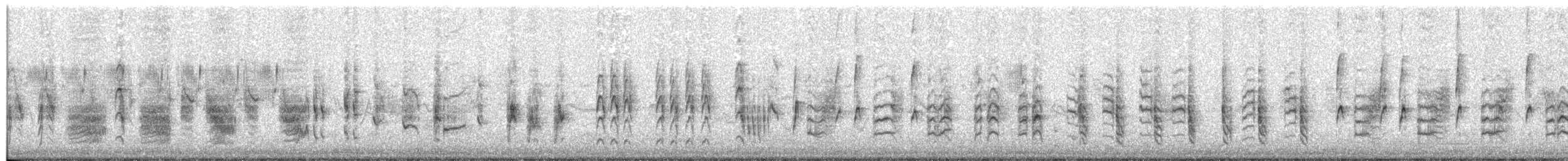 Lezkari arrunta (fuscus) - ML330966471