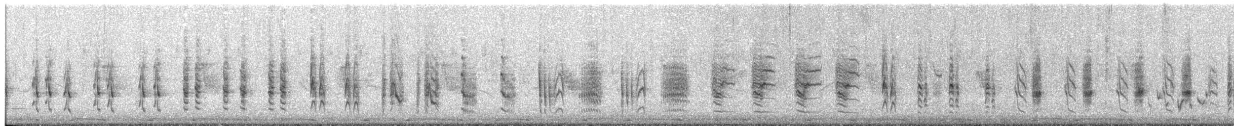 Common Reed Warbler (Caspian) - ML330966601