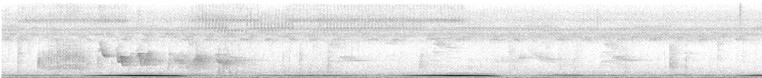 Блестящая перепелиная горлица - ML33097020