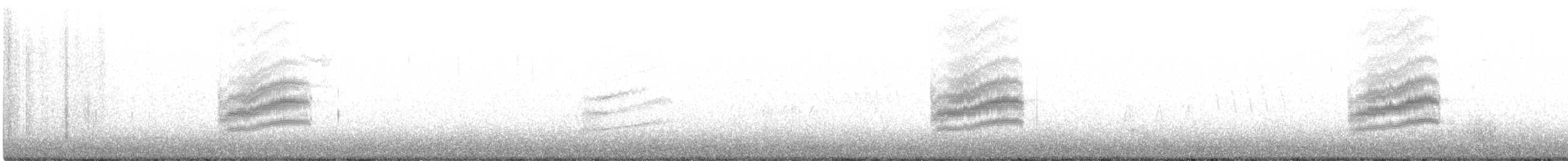 Spotted Towhee - ML330979241