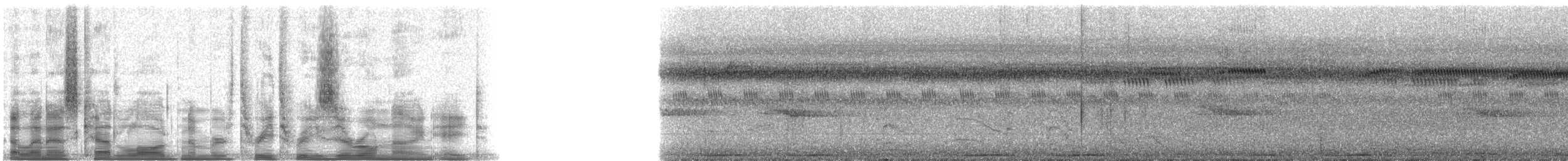 Schwarznacken-Fruchttaube - ML33098