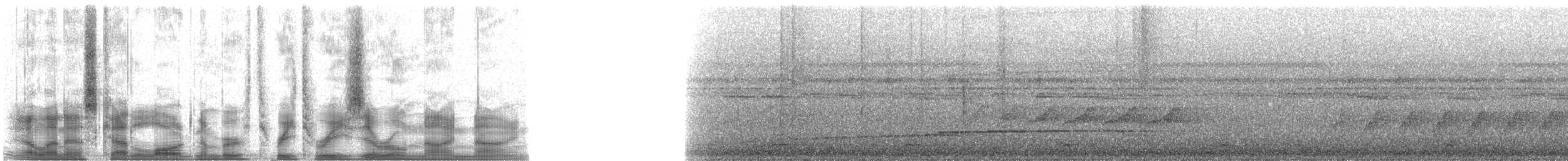 Синеголовый зимородок - ML33099