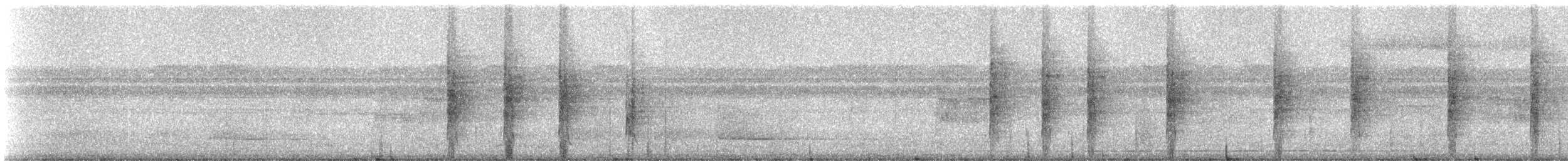 Waved Woodpecker - ML331035