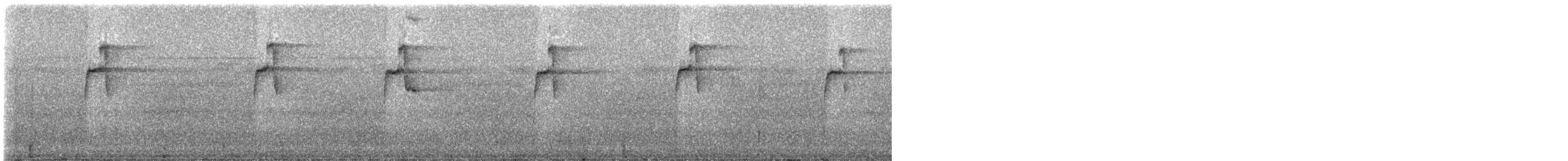 Long-tailed Hermit - ML331041