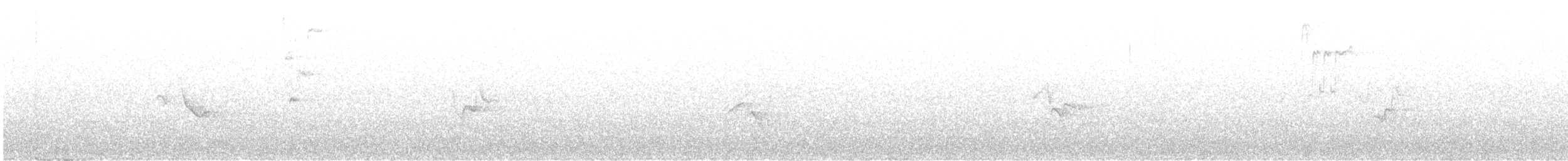 Blue-headed Vireo - ML331068101