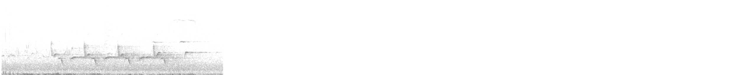 Carolina Wren - ML331069671