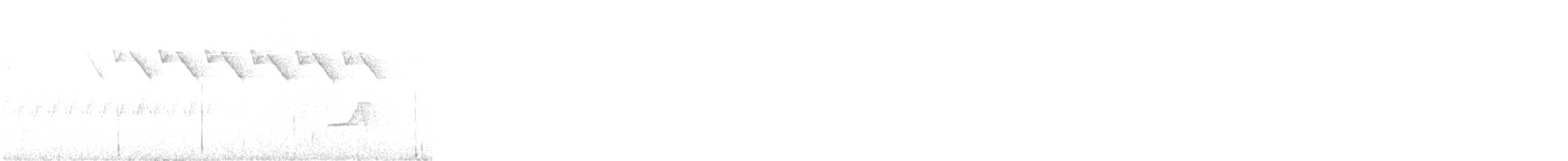 Black-and-white Warbler - ML331070311