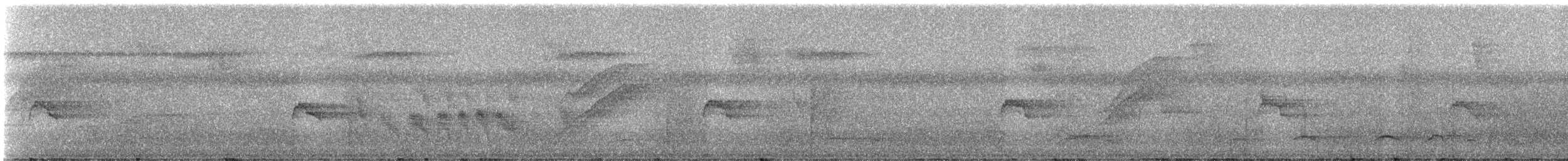 Ornate Hawk-Eagle - ML331075