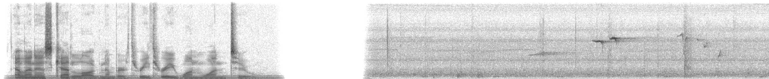 Chestnut-naped Forktail - ML33112