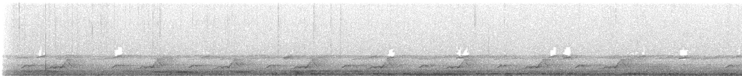 Schwarzkehl-Nachtschwalbe - ML331125991