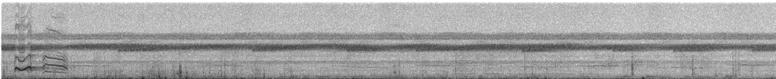 Waved Woodpecker - ML331173