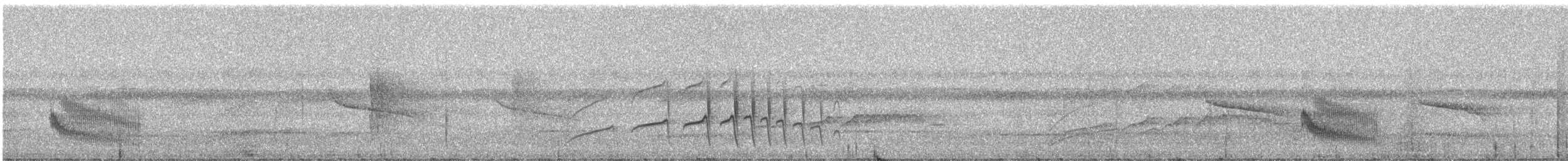 Fourmilier à gorge rousse - ML331198