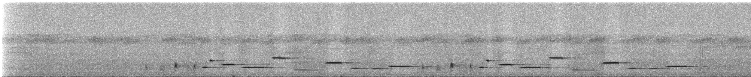 Musician Wren - ML331205