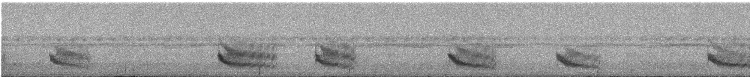 Fourmilier à gorge rousse - ML331207