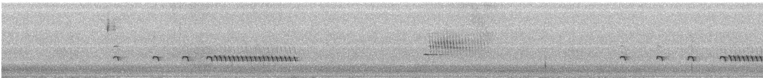 Chaparralgrasmücke - ML331217241
