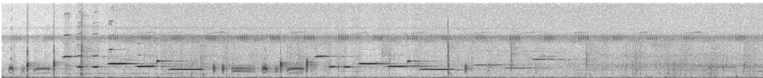 Musician Wren - ML331230