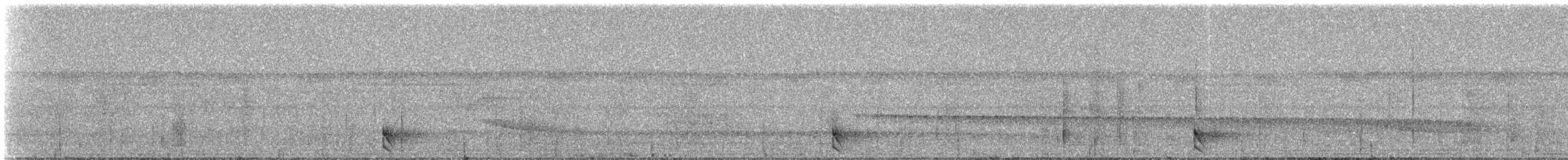 Barred Forest-Falcon - ML331231