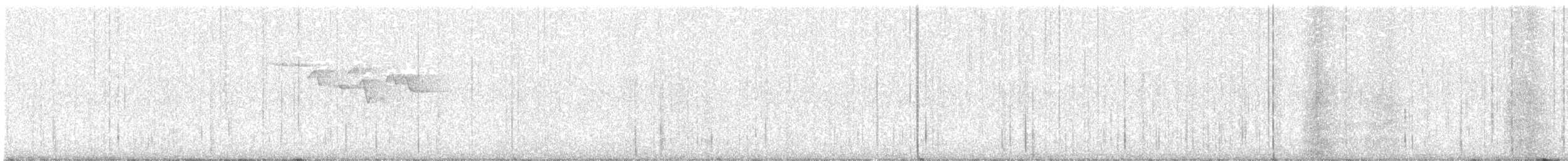 Brown Creeper - ML331250471