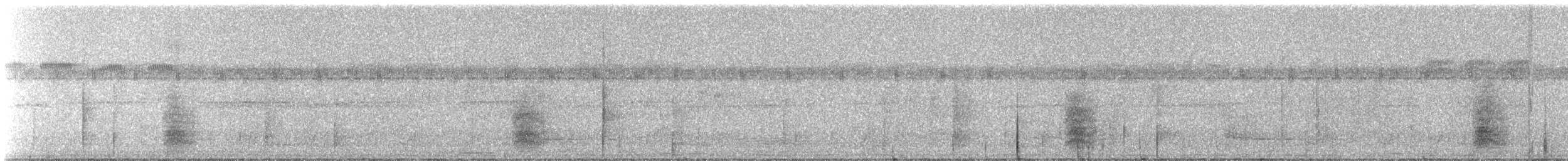 Conopophage à oreilles blanches - ML331278