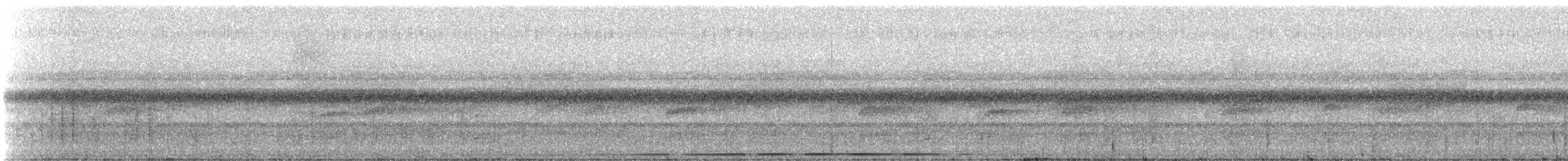 Variegated Antpitta - ML331285