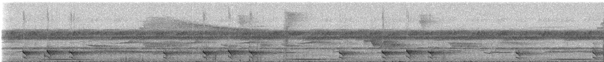 Barred Forest-Falcon - ML331294