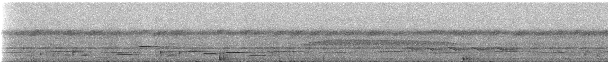 Musician Wren - ML331295